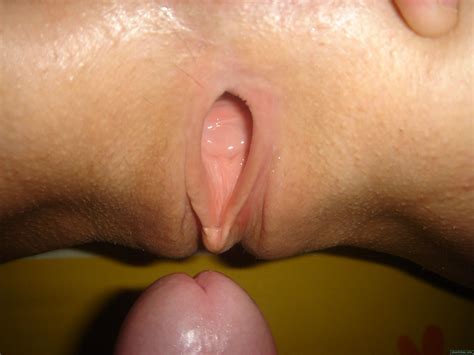 Dick Pussy Penetration Close Up
