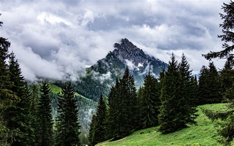 Download Wallpaper 3840x2400 Mountains Rocks Spruce Trees Clouds