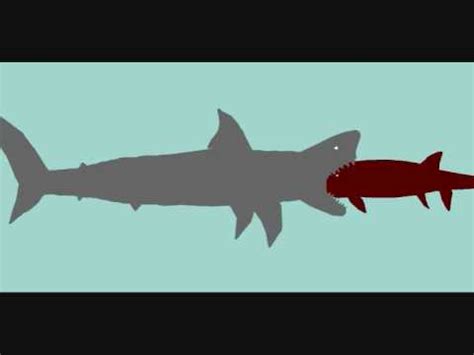 The large size of predator x meant that when fully grown it would have been capable of taking down almost any other prey from marine reptiles like plesiosaurs,‭ ‬ichthyosaurs and smaller pliosaurs to gigantic fish similar to leedsichthys.‭ ‬ the massive jaws would have had equally powerful muscles that. PDFC-megalodon vs liopleurodon vs xiphactinus - YouTube