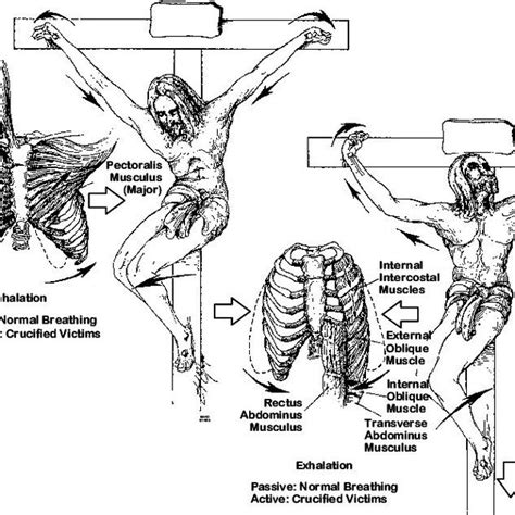 Crucifixion In The Roman World Ideology Behind The Brutal Practice