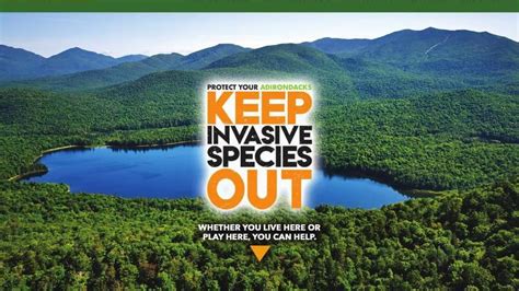 Nature Conservancy Launches New Invasives Awareness Campaign Local
