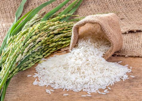 Irri 6 White Rice Integratedtradetalks