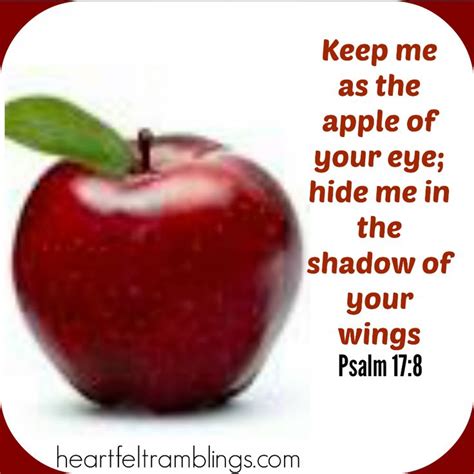 You Are The Apple Of His Eye Apple Psalm 17 Christian Motivation