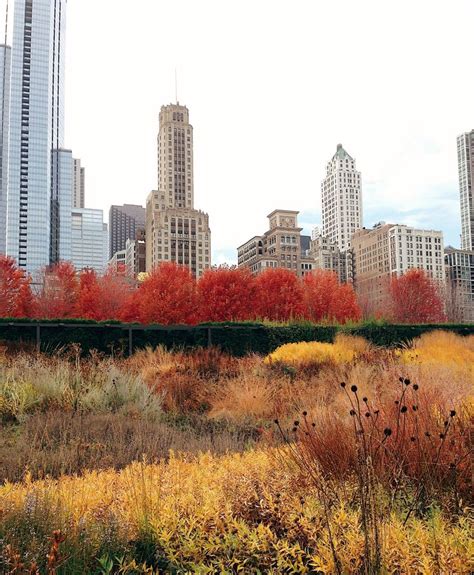 Lets Explore Where To Find The Best Fall Foliage In Chicago Fall