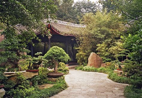 Chinese Garden Plants How To Create A Chinese Garden Style