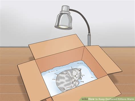 The key is to find a position that feels comfortable for the both of you. 3 Ways to Keep Orphaned Kittens Warm - wikiHow Pet