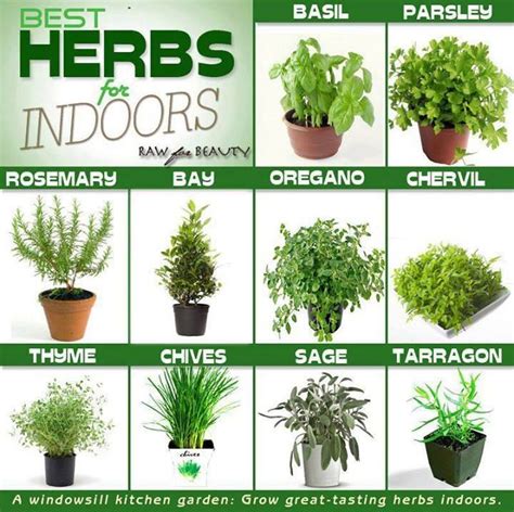 Love Herbs Great List Especially If You Live Somewhere That Snows And