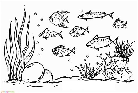 Banyak ikan yang ikut bermain bersama penyu tersebut. Baru 75+ Sketsa Gambar Pemandangan Alam Bawah Laut