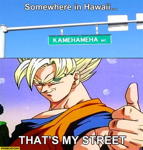 Your meme was successfully uploaded and it is now in moderation. Kamehameha avenue hawaii Goku that's my street | StareCat.com