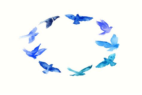 Types Of Blue Birds A Guide To 19 Unique Types Of Natures Blue Gems
