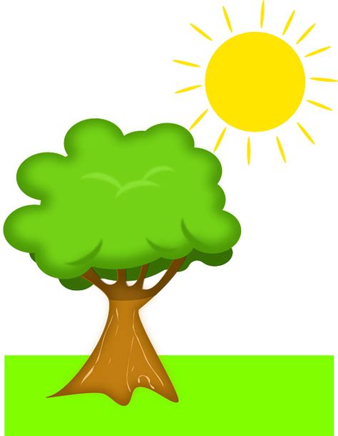 Tree Sun Scenery Free Vector Graphic On Pixabay
