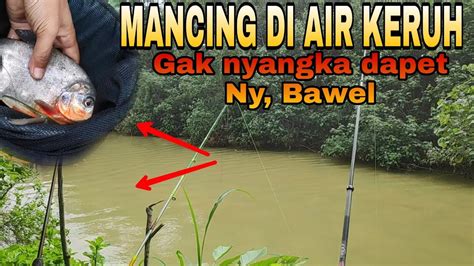 Gak Nyangka Mancing Di Sungai Keruh Dapet Bawal Youtube