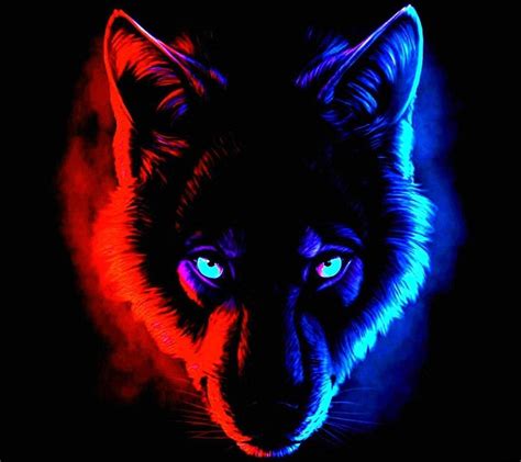 Cool Wolf Eye Wallpapers Top Free Cool Wolf Eye Backgrounds Wallpaperaccess