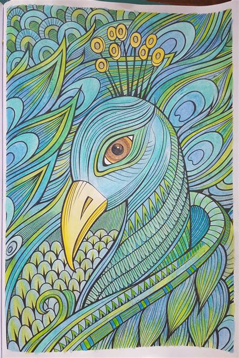 3.6 out of 5 stars 27. Peacock (watercolor pencils) | Color pencil art, Secret ...