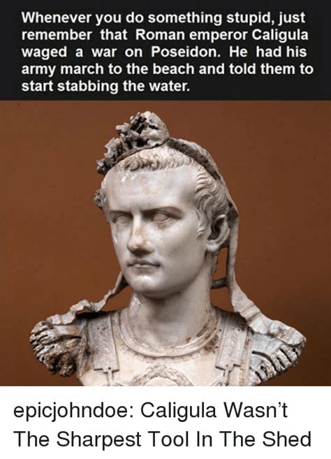 Whenever You Do Something Stupid Just Remember That Roman Emperor