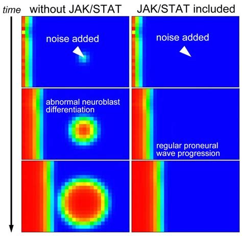 Figure Addition Of Noise Cau Image Eurekalert Science News Releases