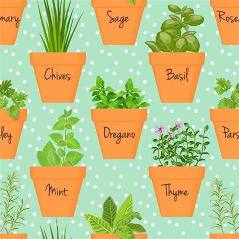 Avoid These Common Indoor Gardening Mistakes If You Want Your Herb
