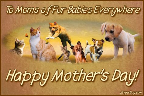 Happy Mothers Day To Moms Of Fur Babies Glitter Graphic Greeting