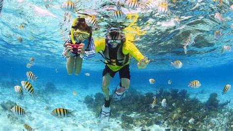 Snorkel Trips Grand Cayman Cayman Brac Grand Cayman February 2013