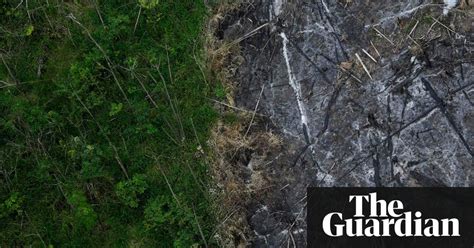 Humans Have Destroyed A Tenth Of Earths Wilderness In 25 Years Study