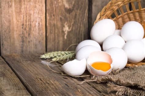 Eggs And Proteins Importance And Benefits Healthifyme