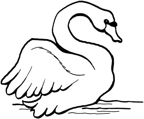 Swan Coloring Pages To Download And Print For Free