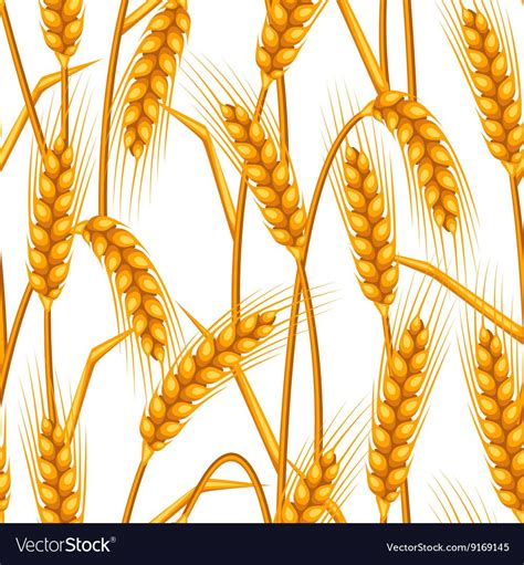Seamless Pattern With Wheat Agricultural Image Vector Image On