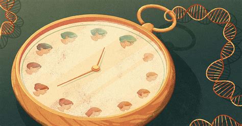 Epigenetic ‘clocks Predict Animals True Biological Age Trueviralnews