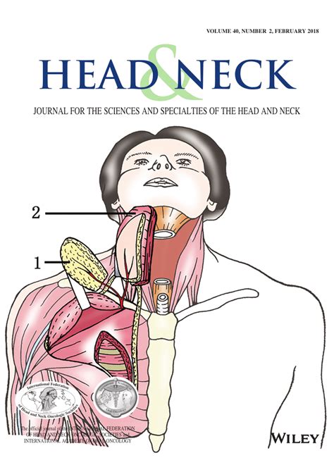 Pdf Head And Neck Cover Page Volume 40 Issue 2 Pages C1 221 449