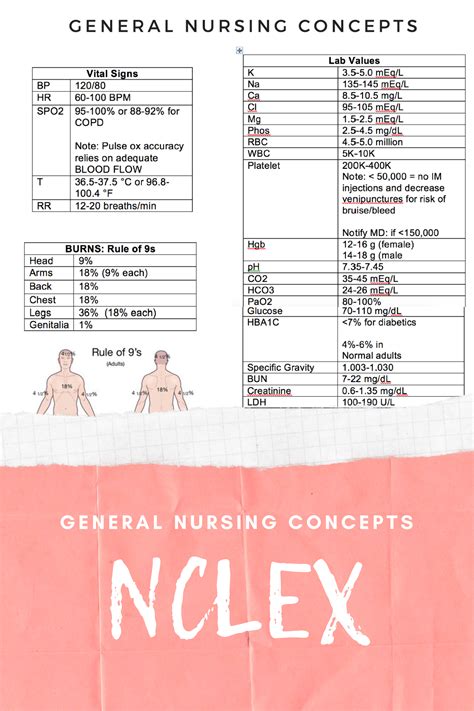 General Nursing Concepts NCLEX | Nursing study guide, Nursing school motivation, Nursing school ...
