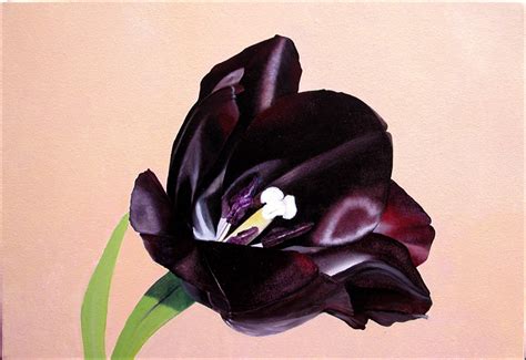 Maybe you would like to learn more about one of these? Black Tulip Event Floral Design: Awaiting Spring