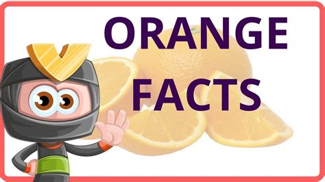 Food 13 Orange Facts For Kids Funny Food Facts For Kids Facts For
