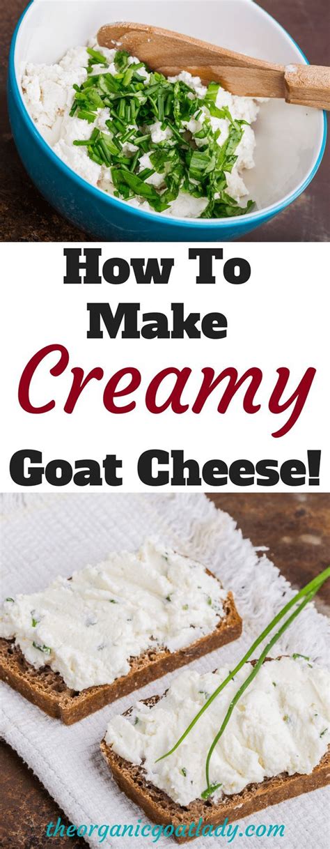 How To Make Goat Cheese The Organic Goat Lady Recipe Goat Milk