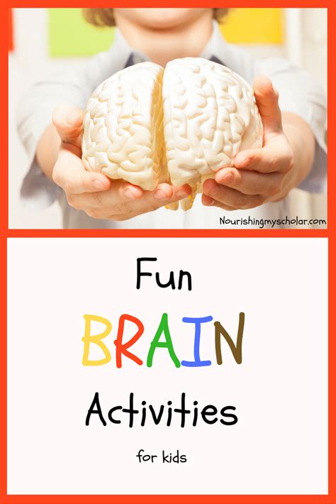 Fun Brain Activities For Kids Nourishing My Scholar Brain
