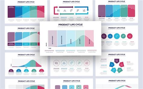 Product Life Cycle Infographic PowerPoint Template