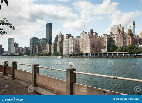 View On East River And Manhattan`s Midtown Skyscrapers From Roosevelt