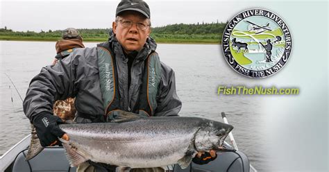 King Salmon Fishing In Alaska Nushagak River Adventures