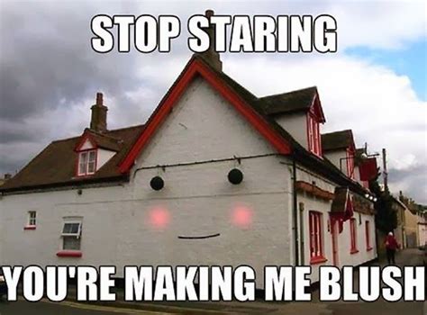 Funny Pictures Happy House Architecture Things With Faces