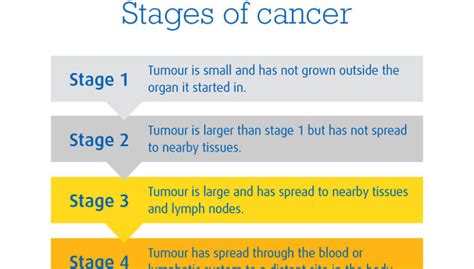 Stages Of Cancer Diagram