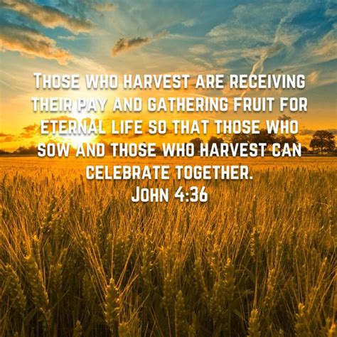 John 436 Those Who Harvest Are Receiving Their Pay And Gathering Fruit