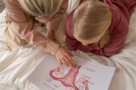 Mengenal Organ Reproduksi Pria Kantin Kesehatan The Best Porn Website