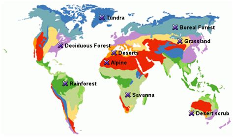 Stepmap World Biome Map Landkarte Für World