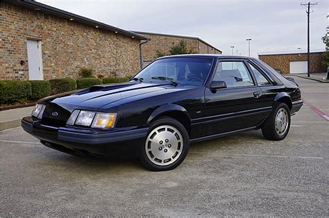 Immaculate Collection of Every Year Fox-Body Mustang Heads to Auction