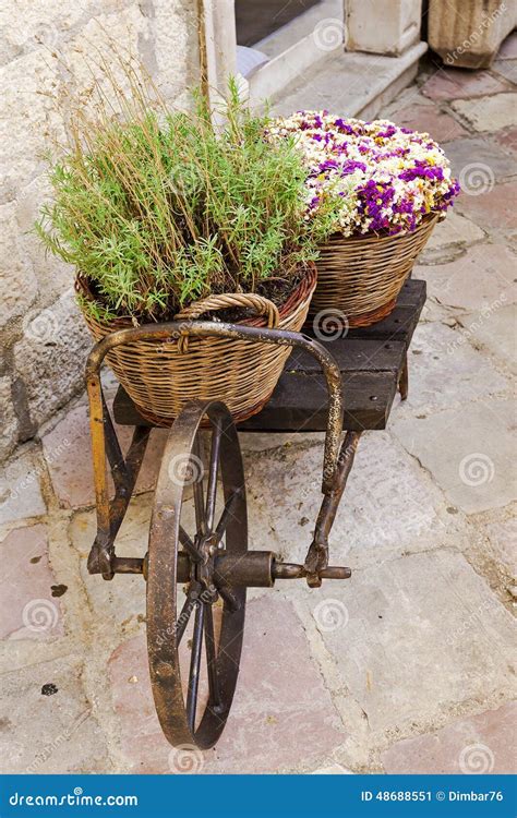 Old Wheelbarrow With Baskets Of Flowers Stock Image Image Of Handcart