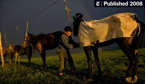A Child Jockeys Rise On The Steppes Of Mongolia The New York Times