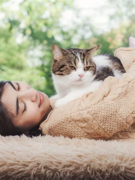 9 Reasons Why Does My Cat Lay On My Chest Better With Cats