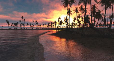 Nature Landscape Tropical Beach Sunset Palm Trees Sea Clouds Sky Sand Wallpapers Hd