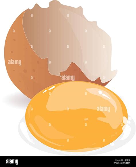Broken Egg Isolated Vector Illustration Stock Vector Image And Art Alamy