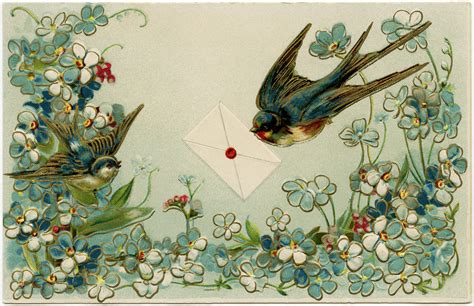 Vintage Birds And Flowers Postcard ~ Free Download Old Design Shop Blog