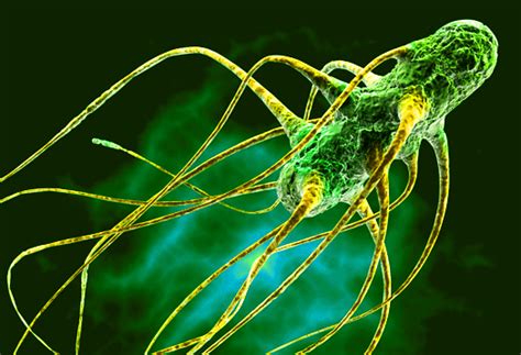 Continuing public health challenge // clinical infectious diseases. Salmonella: Subverting Defences | Antisense Science